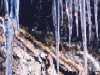 Wachusett Mountain State Park, Princeton, MA, Icicles on Harrington Trail cliffs