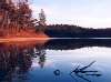 Walden Pond Reservation, Concord, MA, Thoreau's Cove on Walden Pond