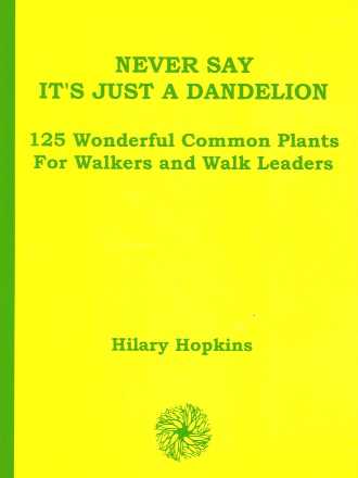 Front cover of Hilary Hopkins' book