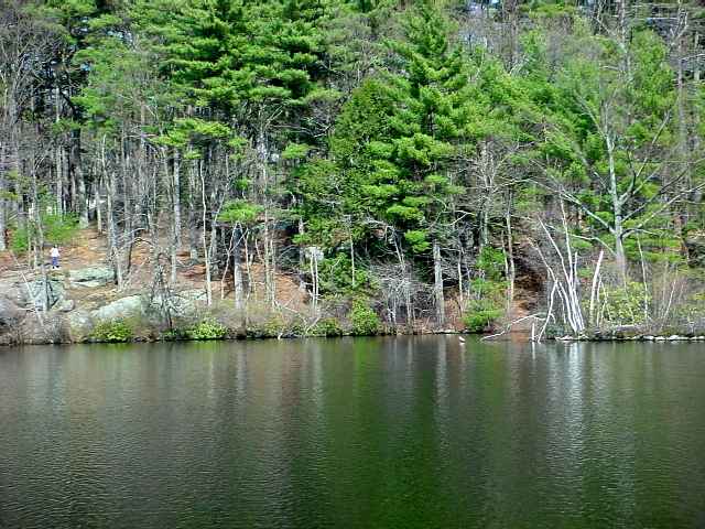 Fawn Lake (Bedford Conservation Lands)